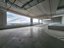 Ct Foodnex (D25), Factory #522956031